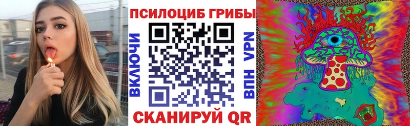 закладка  Гусь-Хрустальный  Псилоцибиновые грибы Cubensis 
