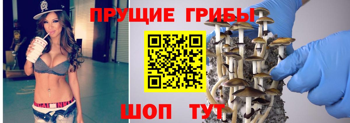 Гусь-Хрустальный  Галлюциногенные грибы GOLDEN TEACHER  Вход с VPN 