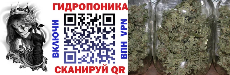 купить   Гусь-Хрустальный  Каннабис сатива 