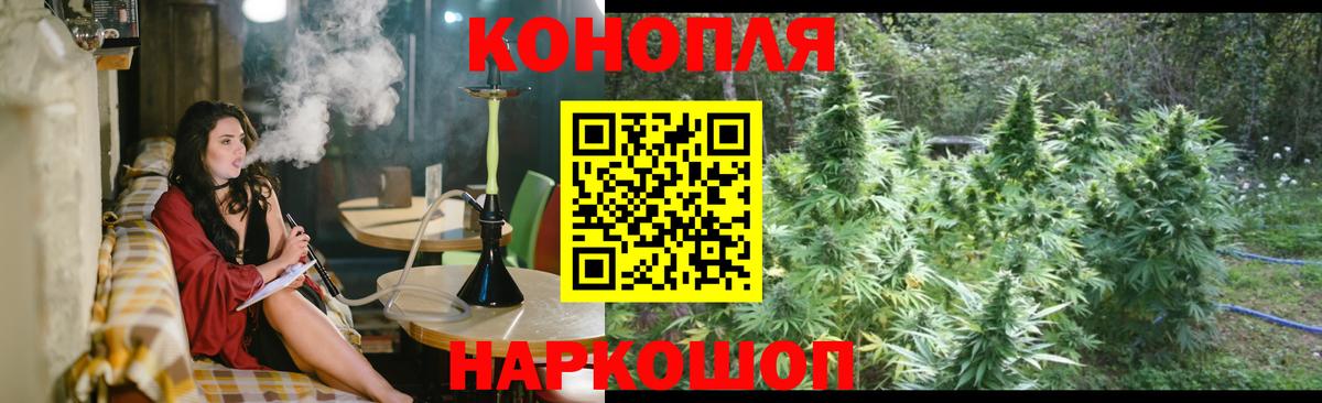 Каннабис ГИДРОПОН Гусь-Хрустальный